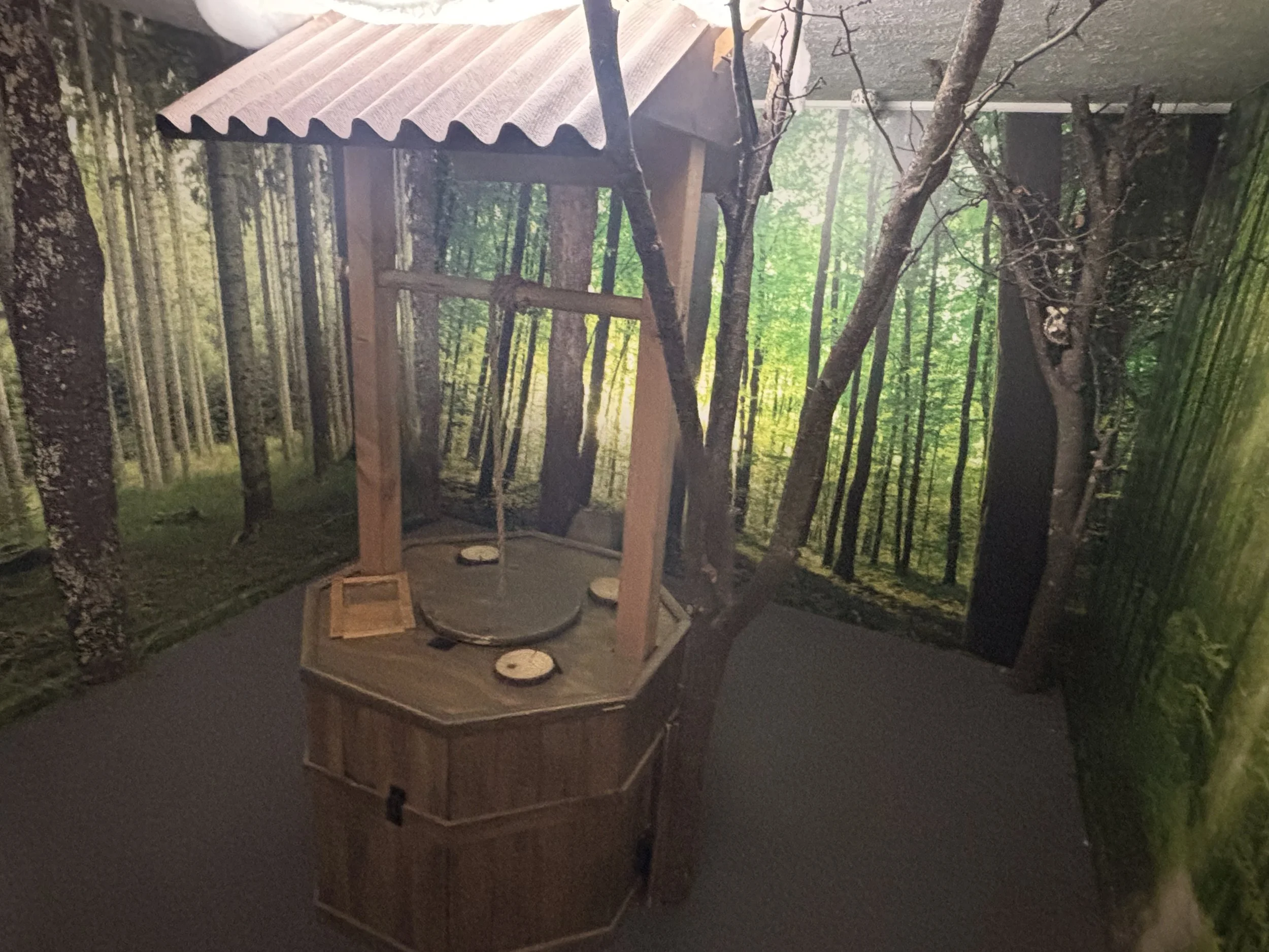 An immersive forest room with a wooden wishing well
